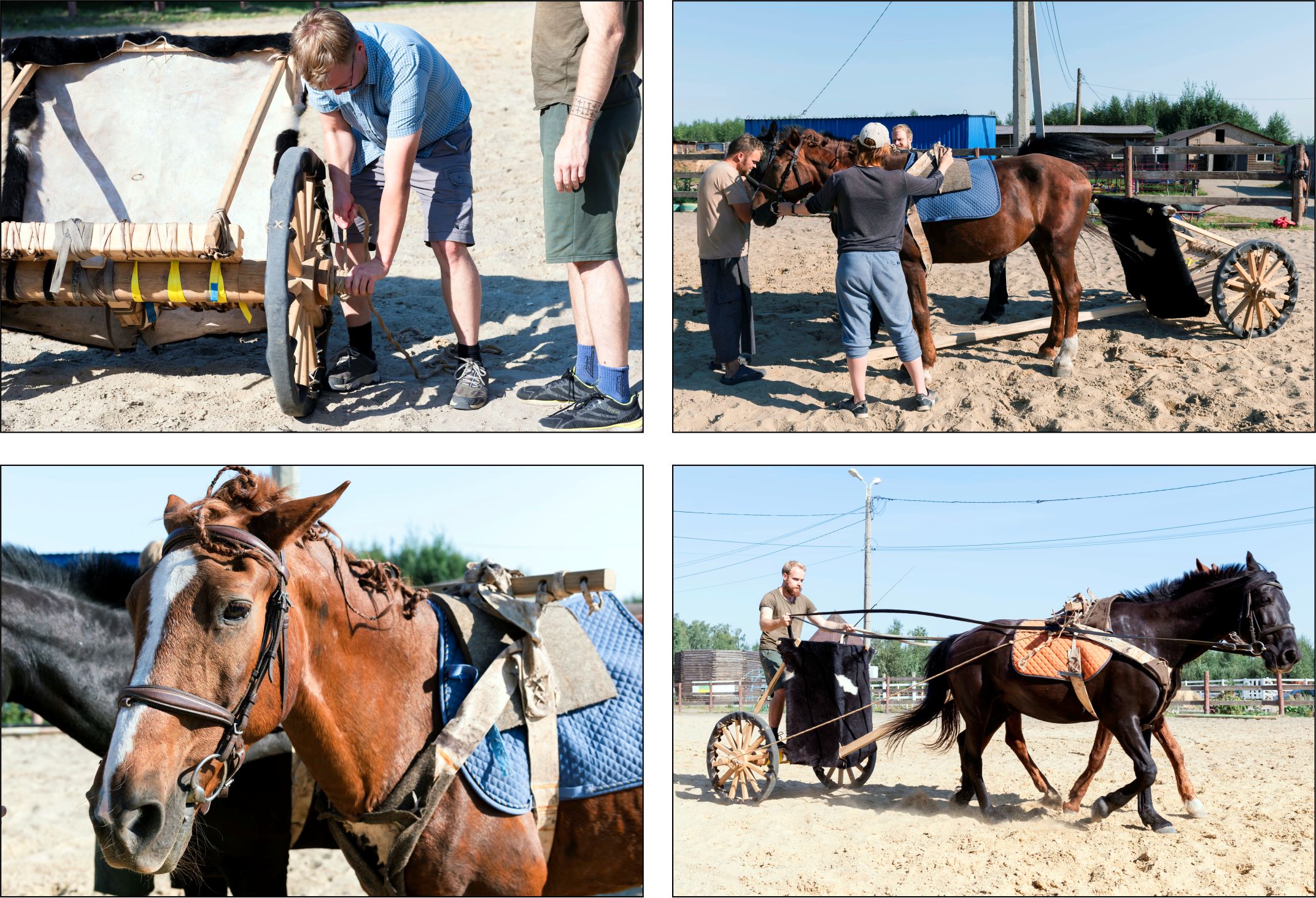 EXPERIMENTAL STUDY OF THE STEPPE CHARIOT (Based on Materials from